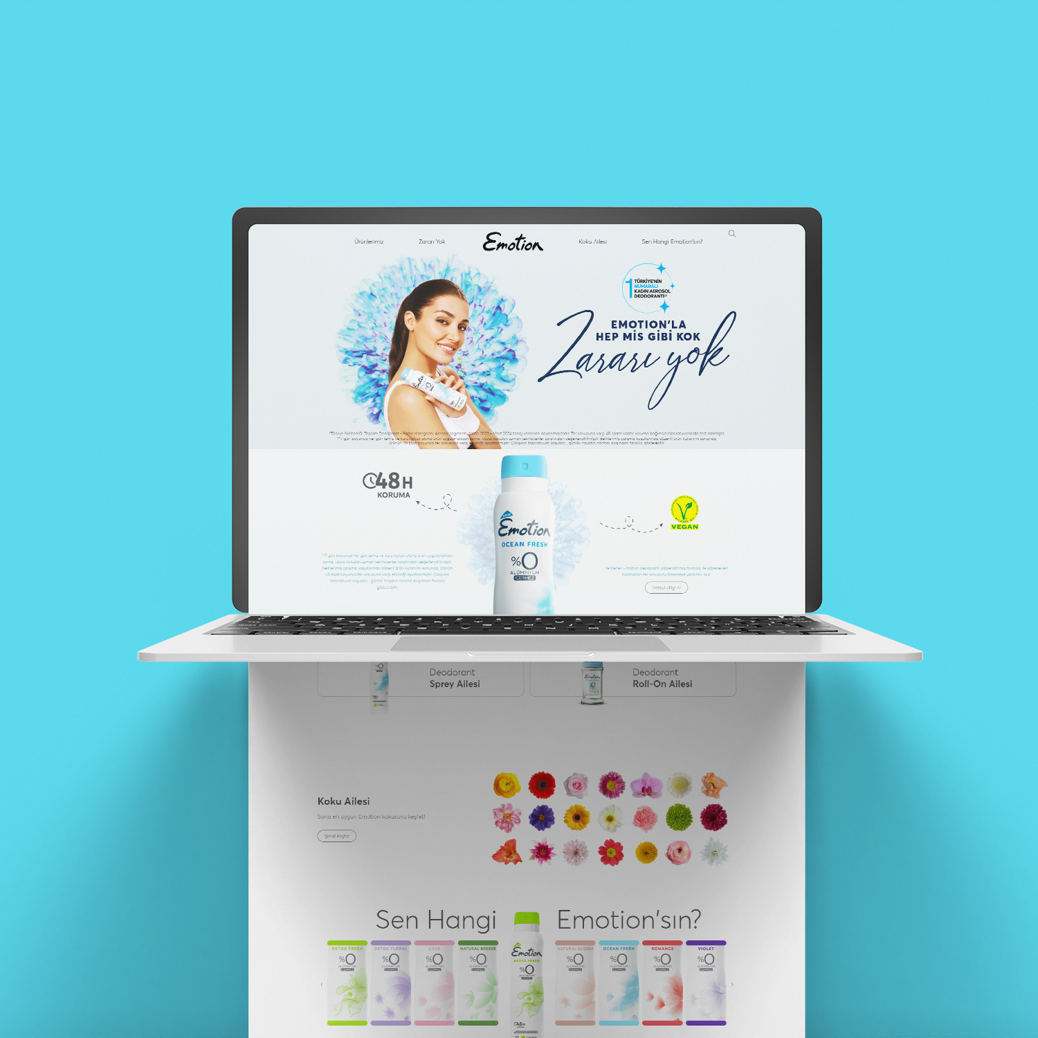 Portfolio Image